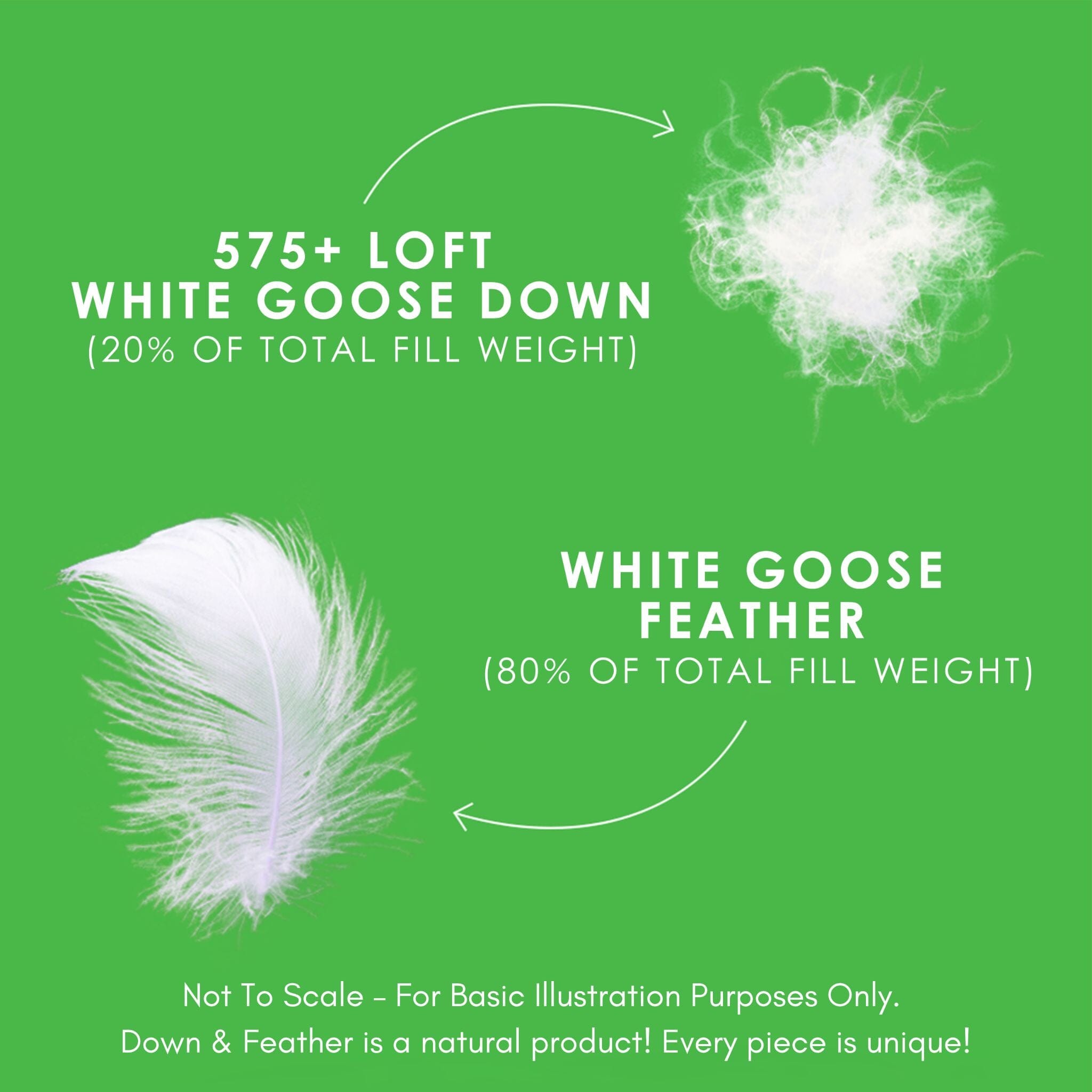 White Goose Feather & Down Duvet - Canadian Down & Feather Company 